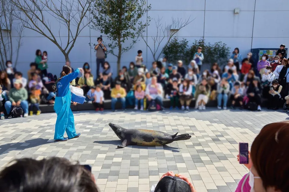 マリンワールド海の中道