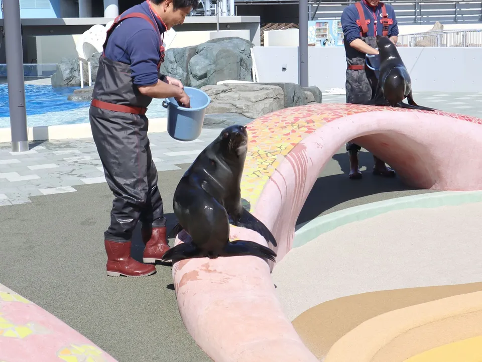 大分マリーンパレス水族館「うみたまご」