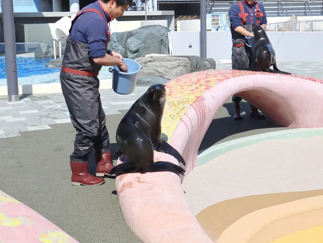大分マリーンパレス水族館「うみたまご」