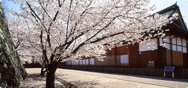 佐賀県立佐賀城本丸歴史館