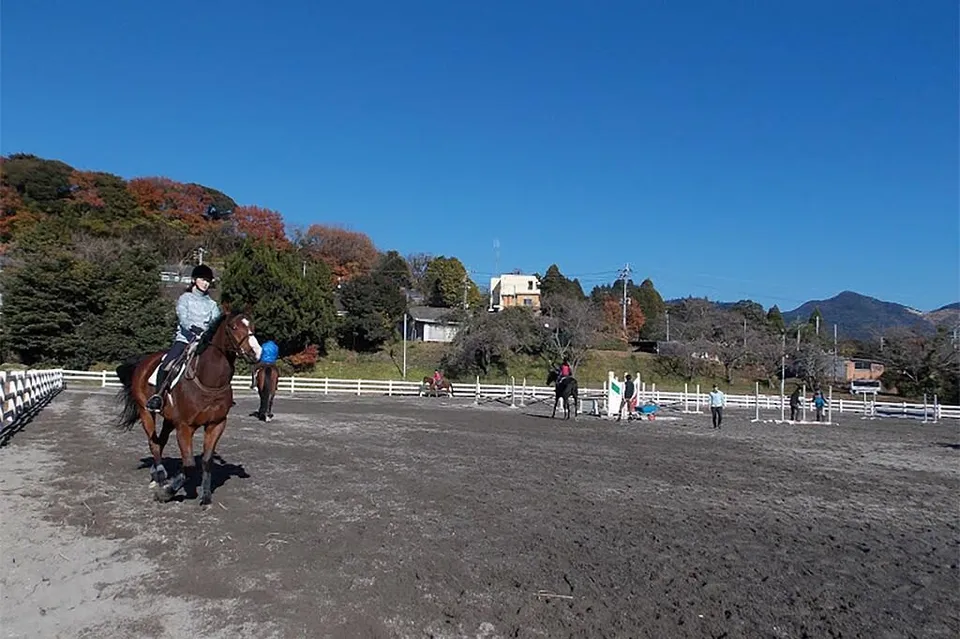 霧島高原乗馬クラブ