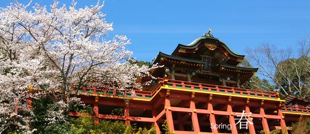 祐徳稲荷神社