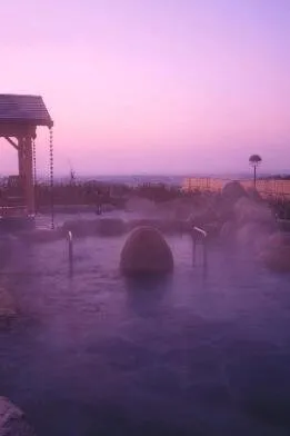ひがしせふり温泉 山茶花の湯