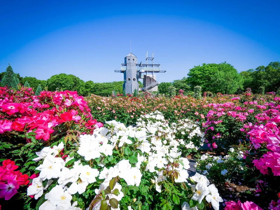 熊本県農業公園カントリーパーク