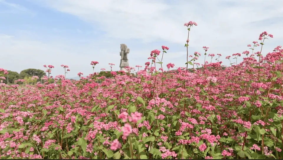 筑後広域公園
