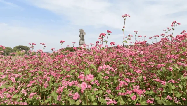 筑後広域公園