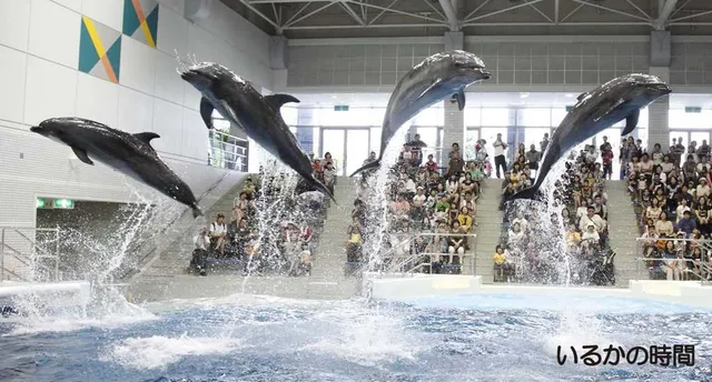 いおワールドかごしま水族館