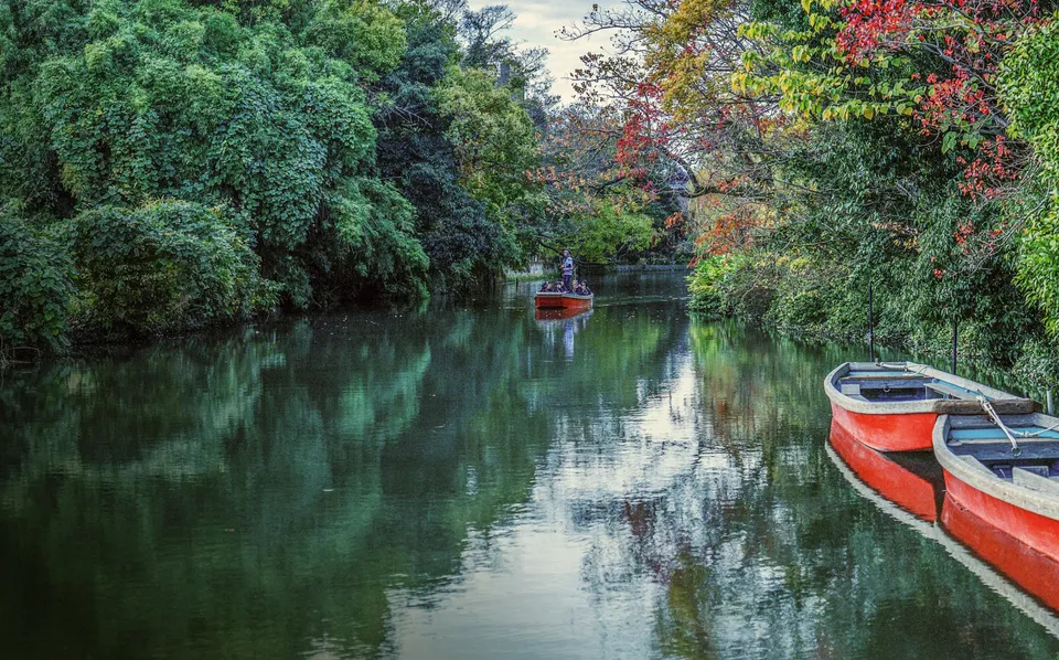 柳川川下り