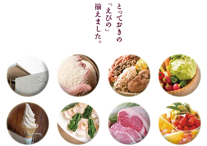 道の駅えびの