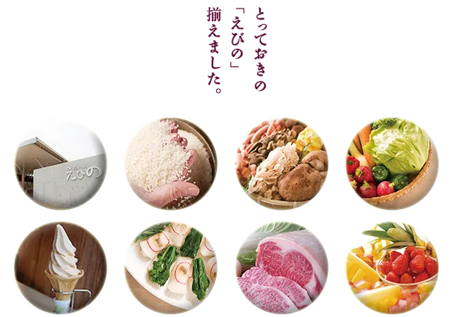 道の駅えびの