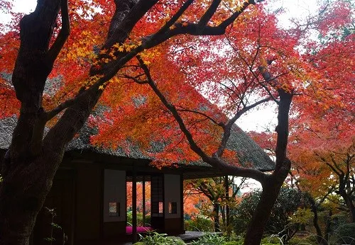 九年庵