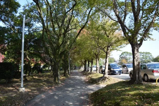 鳥栖市民公園