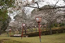 多久中央公園