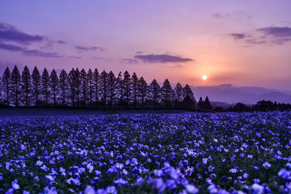 生駒高原