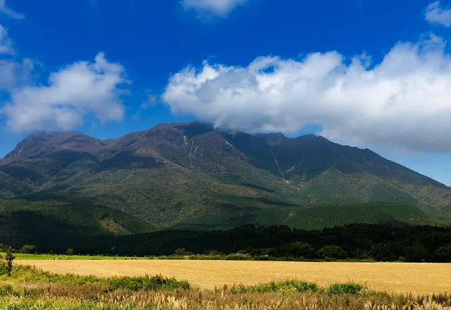 ガンジー牧場