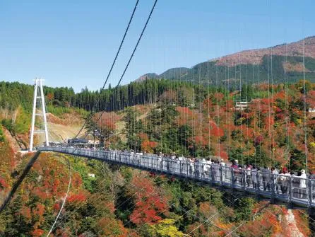 九重“夢”大吊橋