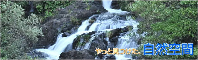 伊佐ノ浦公園
