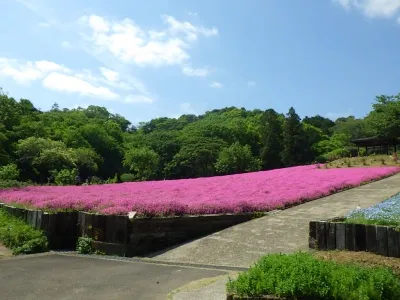 延岡植物園