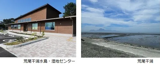 荒尾干潟水鳥・湿地センター