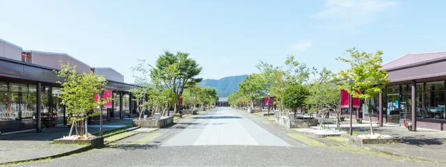 アリタセラ