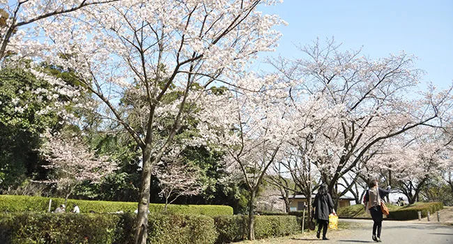 田代公園