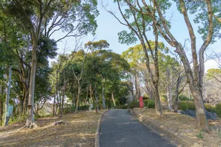 浦田自然公園の公式写真