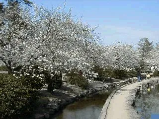神野公園