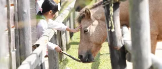 三瀬ルベール牧場 どんぐり村の公式写真