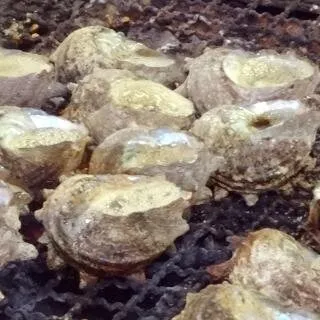 波戸岬サザエのつぼ焼き売店