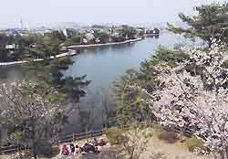白水大池公園