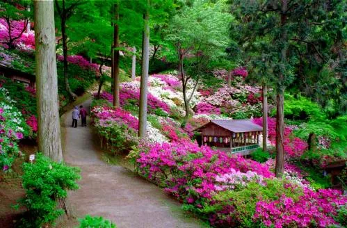 大興善寺