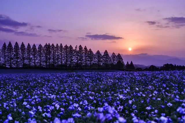 生駒高原
