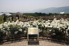 かのやばら園