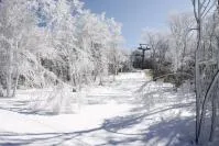 九重森林公園スキー場