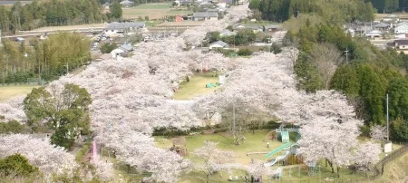 母智丘公園