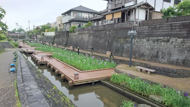 髙瀬裏川水際緑地公園