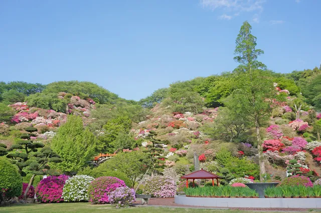東山公園