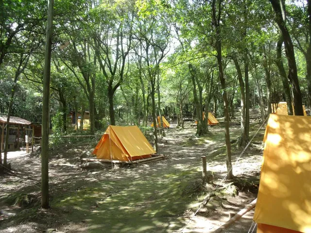 金立教育キャンプ場